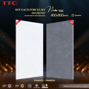 Gạch ốp tường - PN48003-04