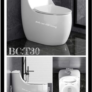 Xie trứng tròn BC30