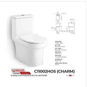Bồn cầu một khối COTTO C11002HOS