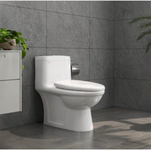 Bàn cầu 1 khối BL5