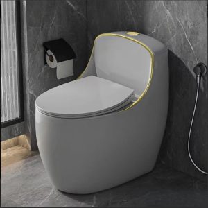 Bồn Cầu Trứng Xám Viền Vàng