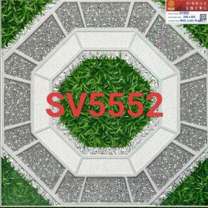 SV5552