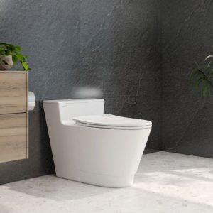 bàn cầu nguyên khối V889