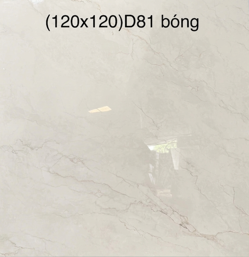 D81